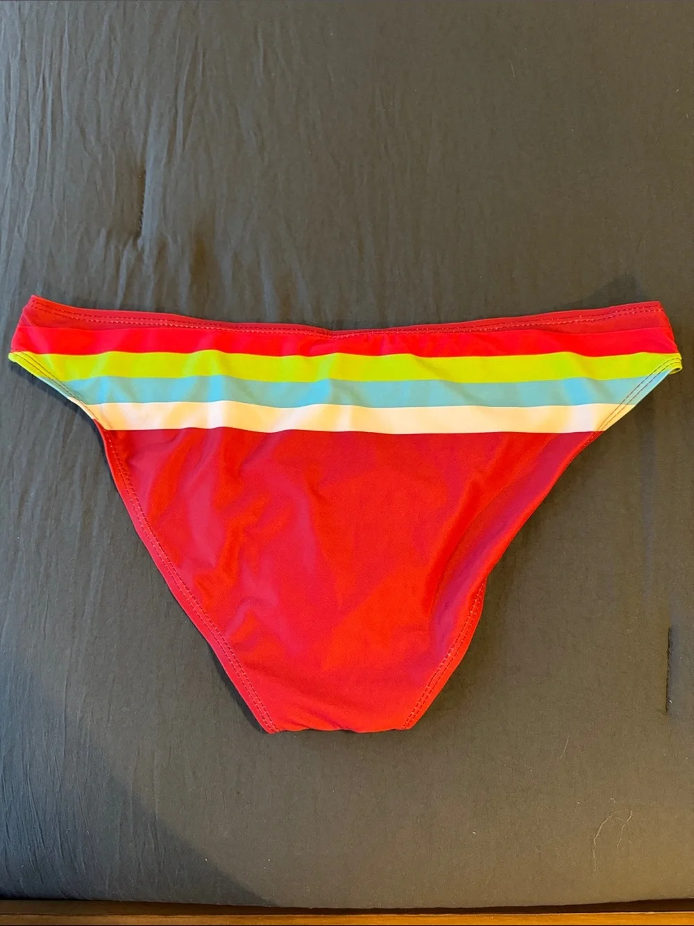Burgundy Bikini Bottom with Rainbow Stripe Unlined Medium